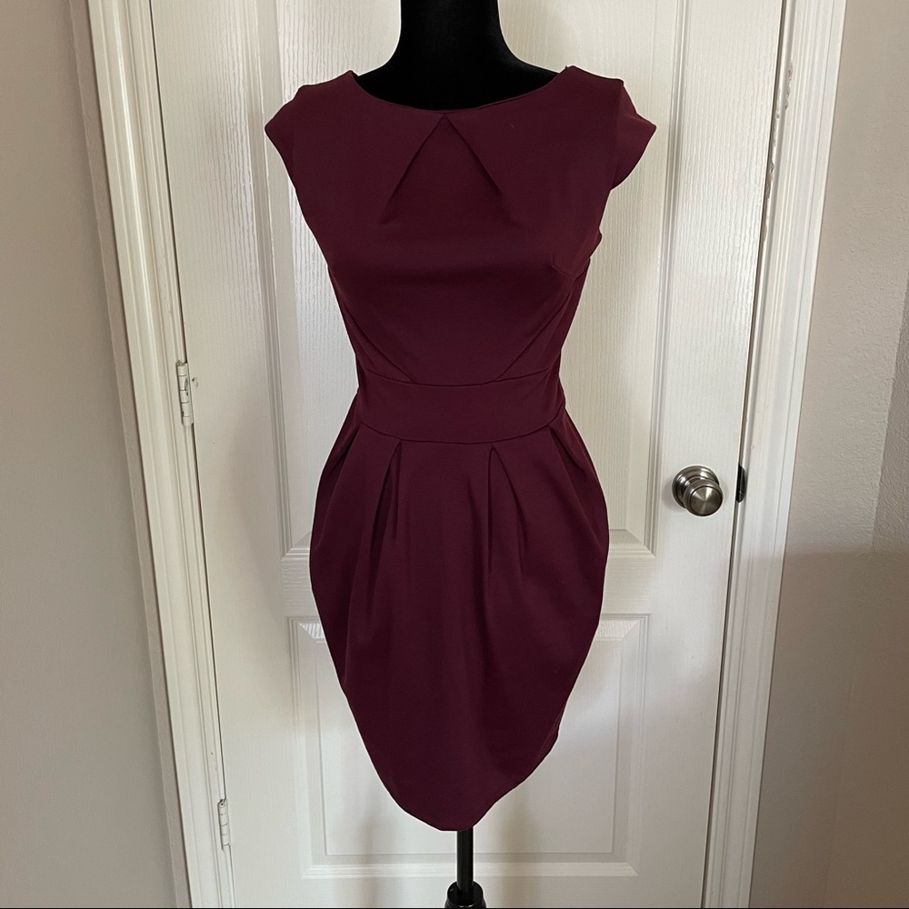 Flattering Plum/Purple fall dress with great lines size Medium